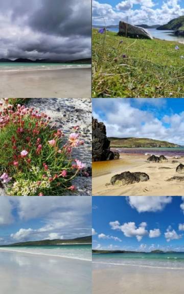 Greetings cards pack of 6 - summer