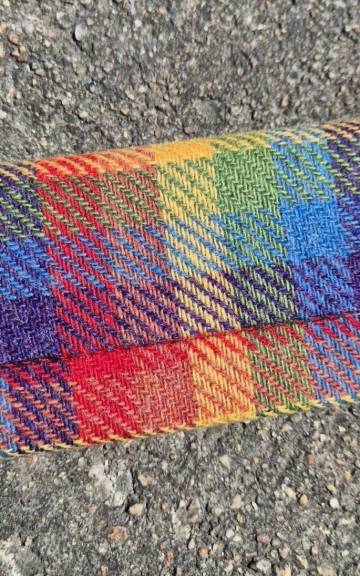 Glasses case