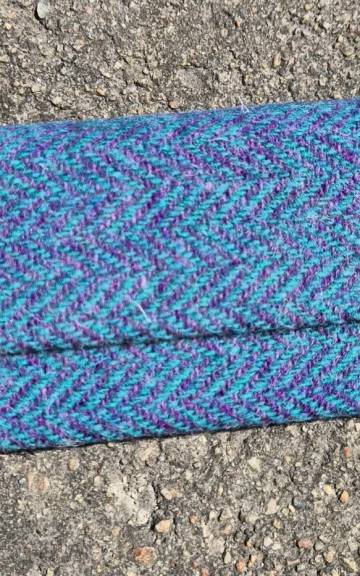 Glasses case