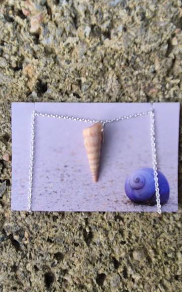 Sea shell necklace