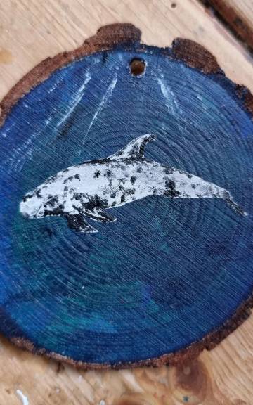 Rissos dolphin on wood slice