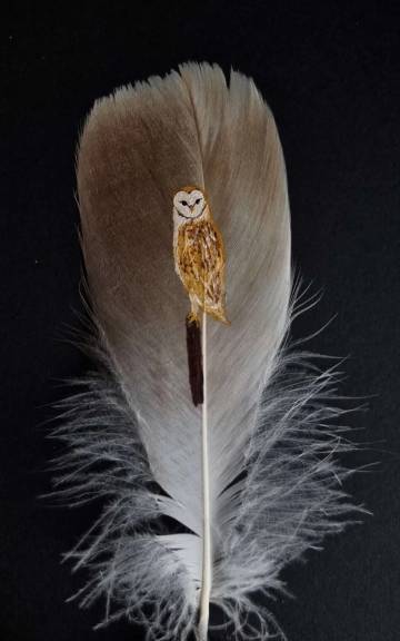 Barn owl painted on an owl feather