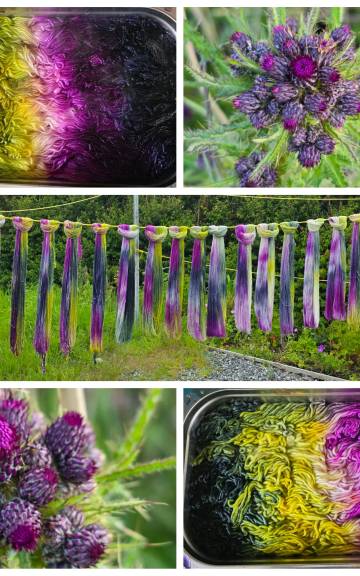 Thistle Yarn preorder - Aran