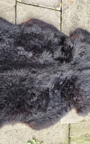Hebridean Sheepskin