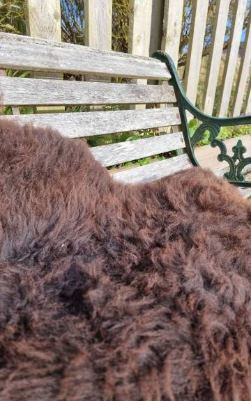 Hebridean Sheepskin