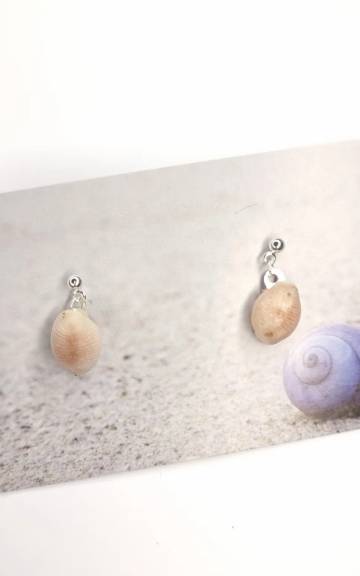Shell Stud Earrings - Reef