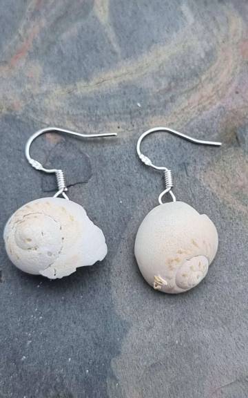Sea Shell Earrings - Luskentyre