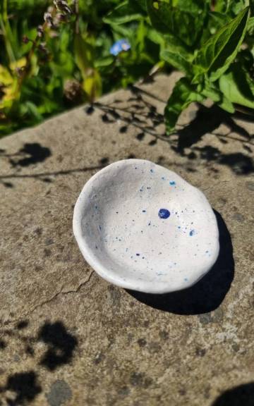 Ceramic mini dish
