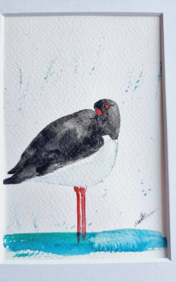 Mini Original Watercolour of an oystercatcher