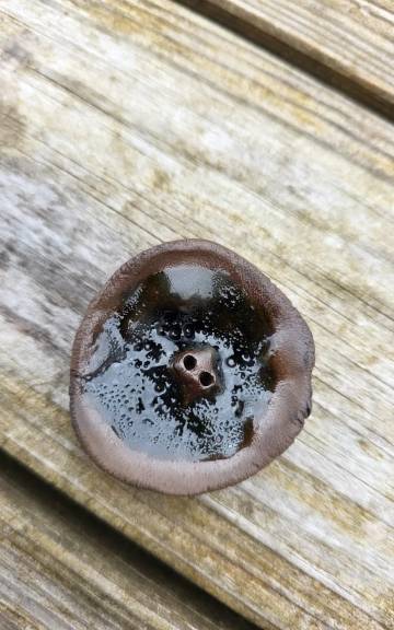 Ceramic button rockpool