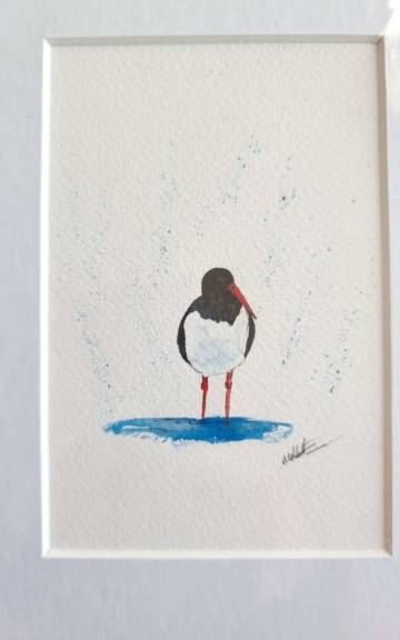 Mini Original Watercolour of an oystercatcher
