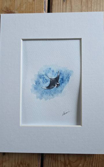 Mini Original watercolour of a manta ray