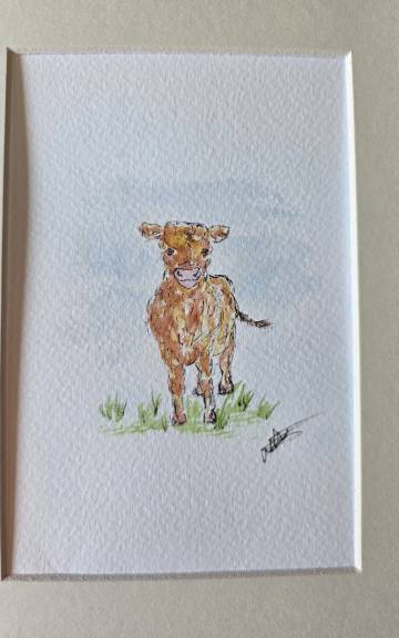 Mini Original watercolour of a heiland coo