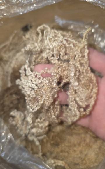 Blueface Leicester wool- 375g
