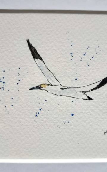 Mini Original Watercolour of a Gannet