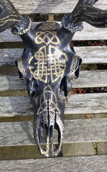 Painted stag skull