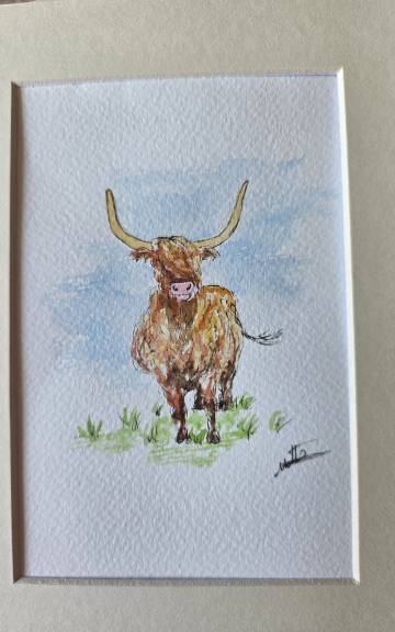 Mini Original watercolour of a heiland coo