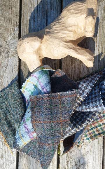 Mini dog craft pack