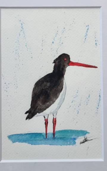 Mini Original Watercolour of an oystercatcher