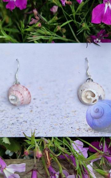 Sea Shell Earrings