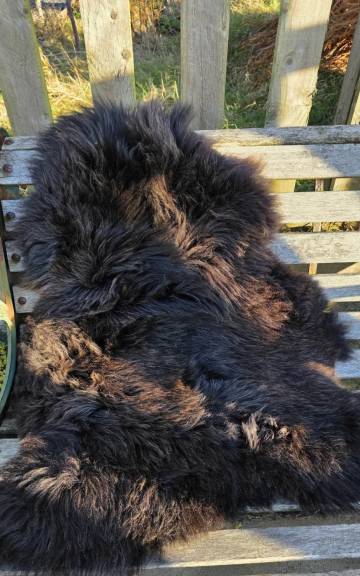 Hebridean Sheepskin