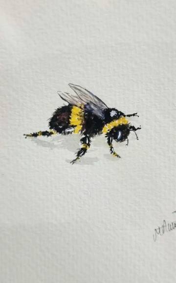 Mini Original Watercolour of a bee