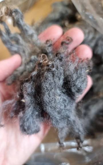 Gotland lambswool 350g