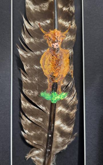 Heilan coo painted on a buzzard feather
