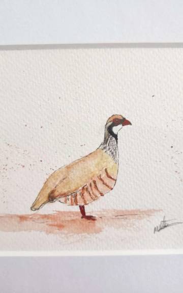Mini original Watercolour of a partridge