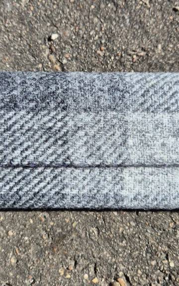 Glasses case