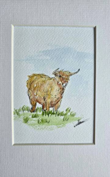 Mini Original watercolour of a heiland coo