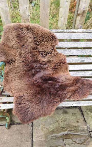 Mule Sheepskin