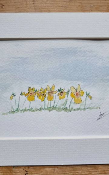 Mini Original Watercolour of wild pansies