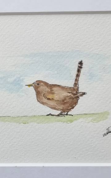 Mini Original Watercolour of a wren