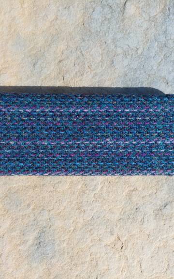 Glasses case