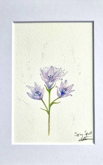 Mini Original Watercolour of  spring squill