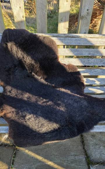 Zwarble Sheepskin