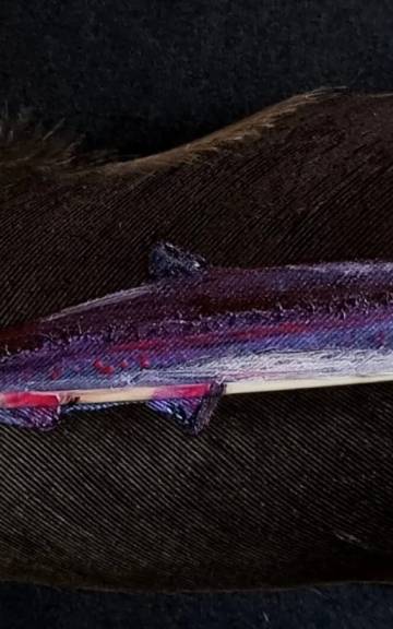 Salmon painted on a goose feather