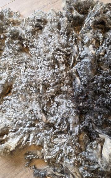 Gotland fleece 680g