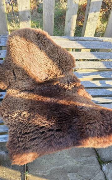 Mule Sheepskin