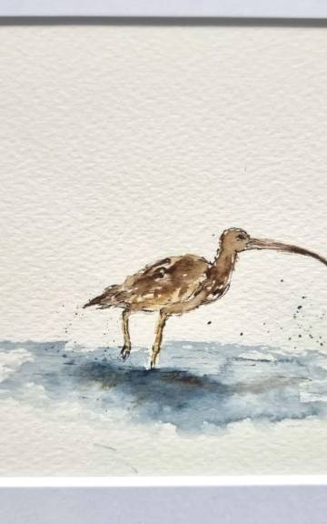 Mini Original Watercolour of a curlew