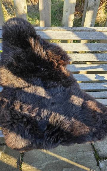 Hebridean Sheepskin