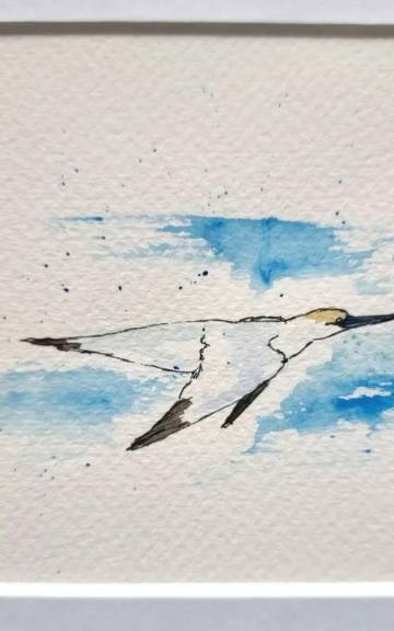 Mini Original Watercolour of a Gannet