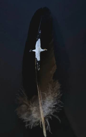 Gannet painted on a goose feather