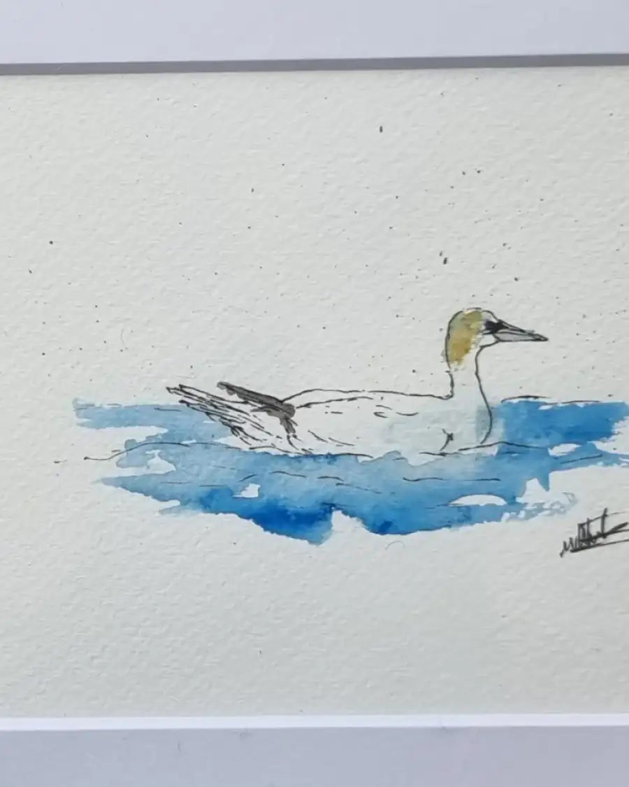Mini Original Watercolour of a Gannet
