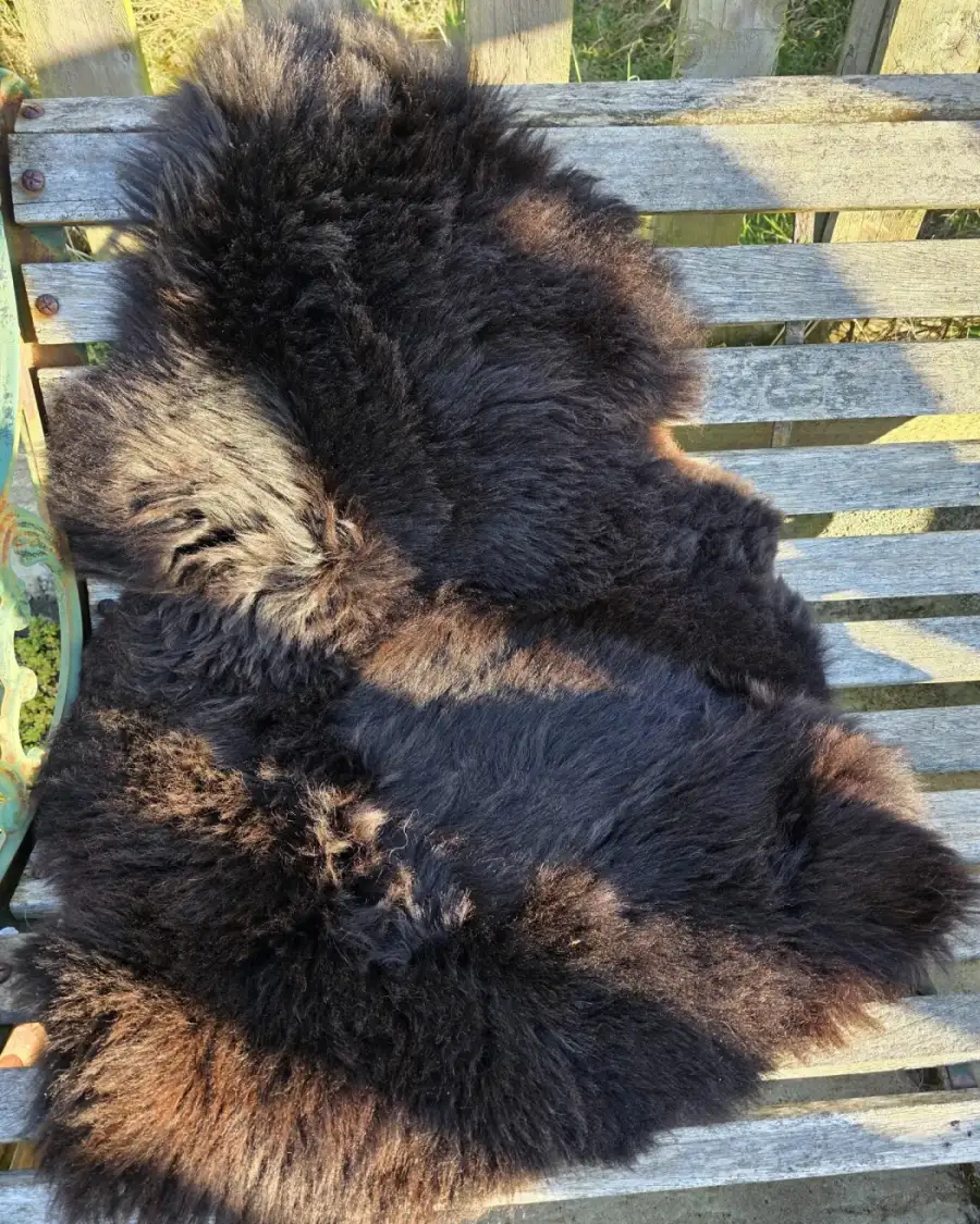 Hebridean Sheepskin