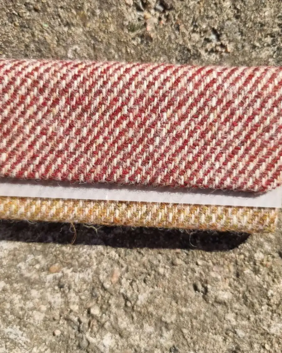 Glasses case