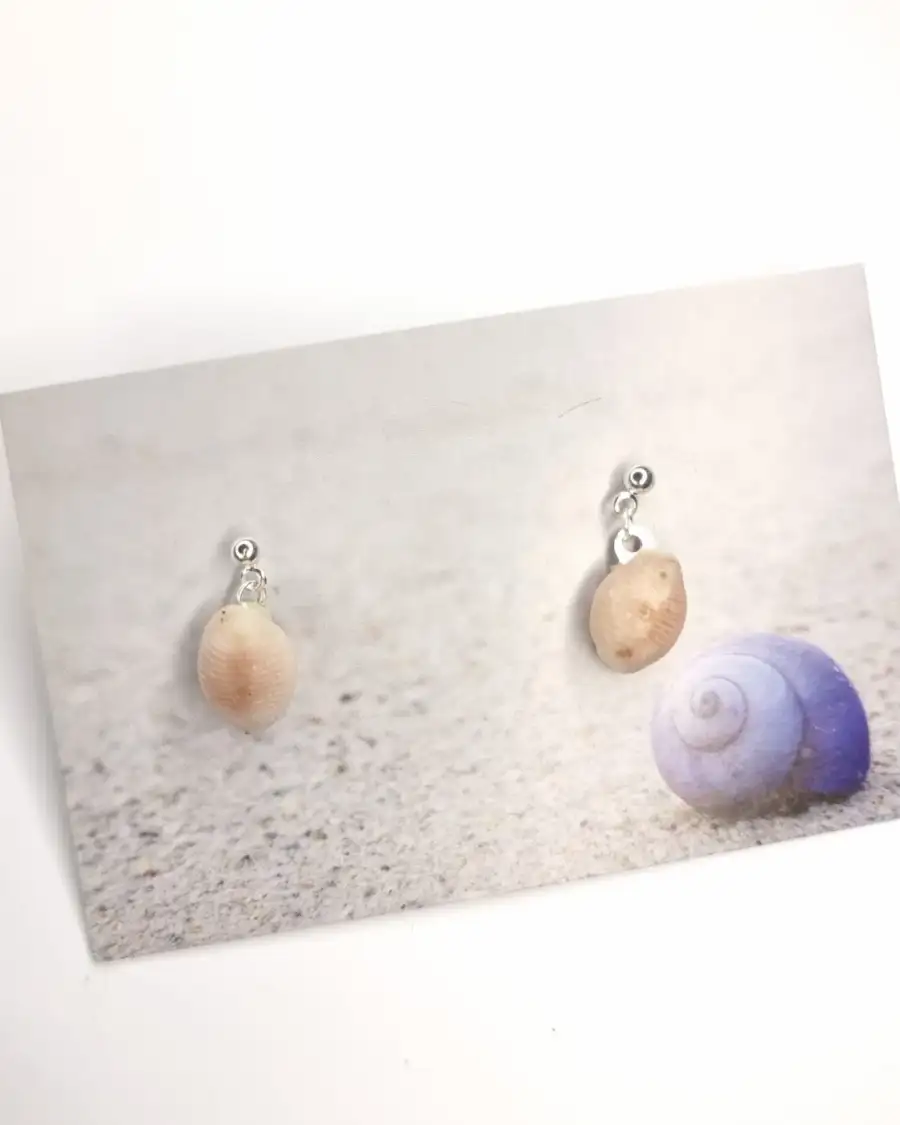 Shell Stud Earrings - Reef