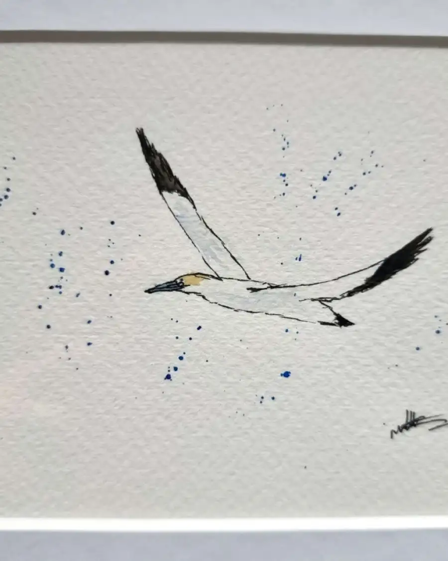 Mini Original Watercolour of a Gannet