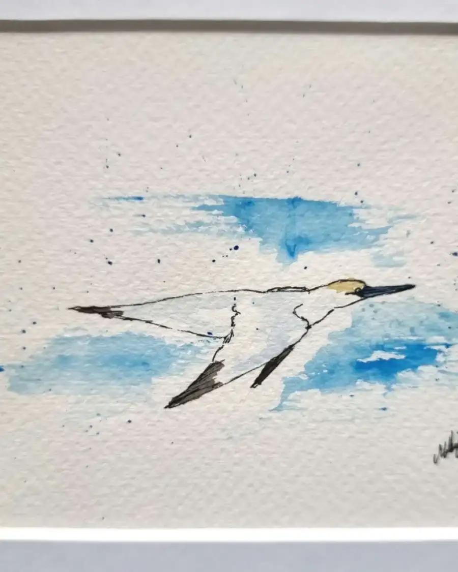 Mini Original Watercolour of a Gannet